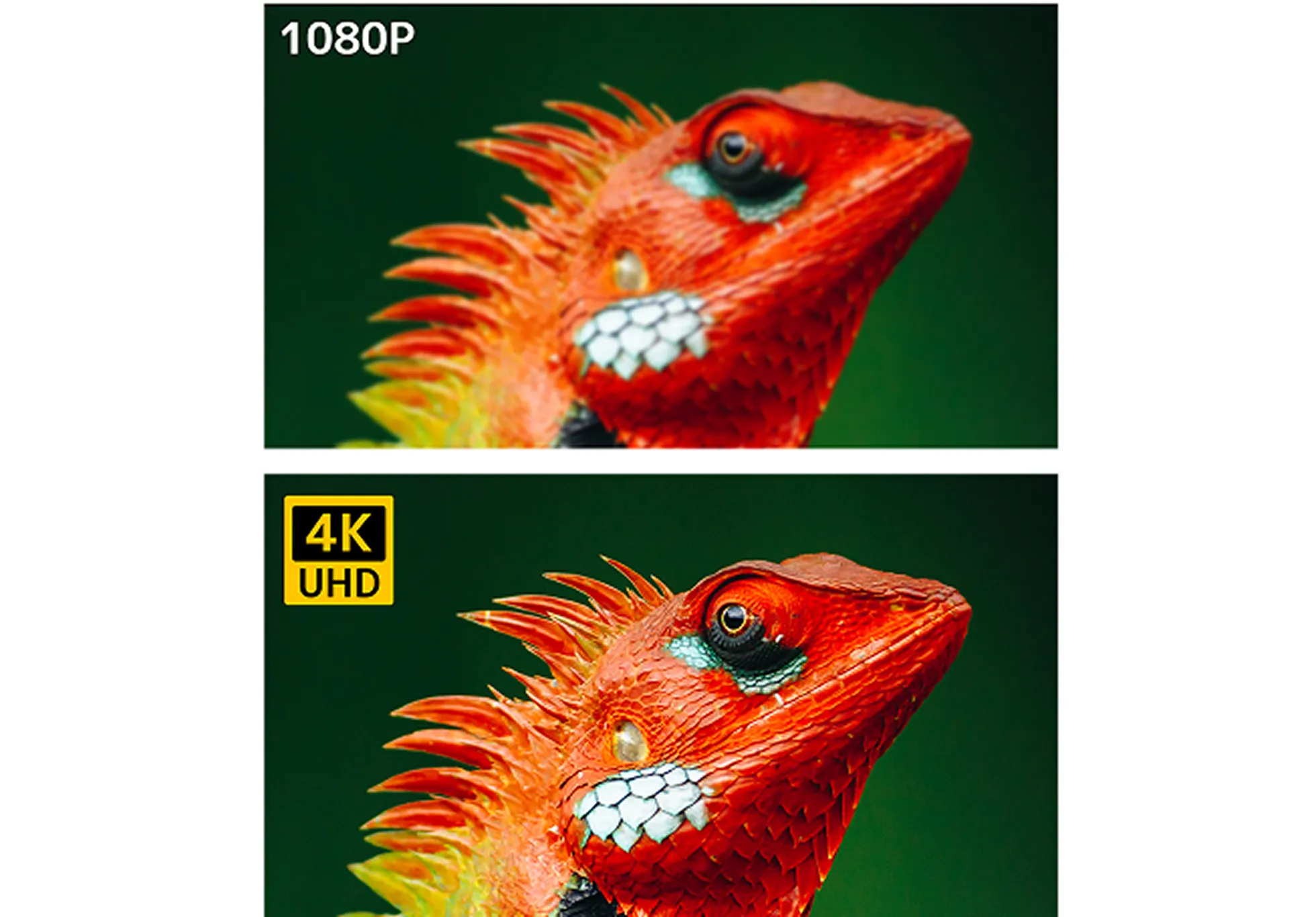 驚くほど鮮明な4K映像をワイヤレスで